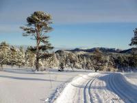 post-4444-0-78247100-1359904827_thumb.jp