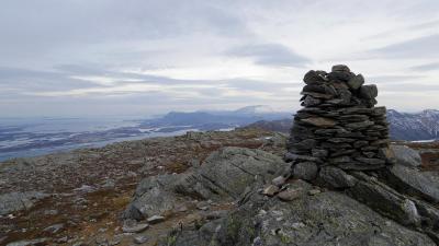 post-10401-0-11786900-1391601846_thumb.j