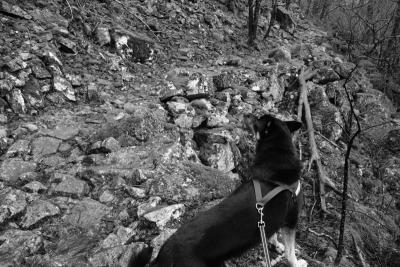 post-13043-0-45373100-1391963364_thumb.j