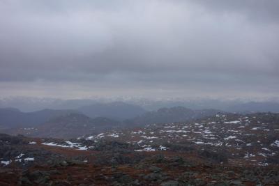 post-13043-0-64407900-1393525625_thumb.j