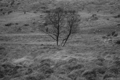 post-13043-0-69010900-1391963445_thumb.j