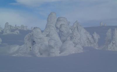 post-13144-0-10401600-1392725038_thumb.j