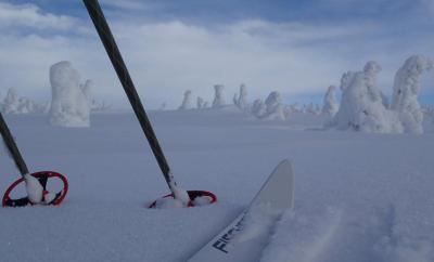 post-13144-0-65544300-1392725523_thumb.j