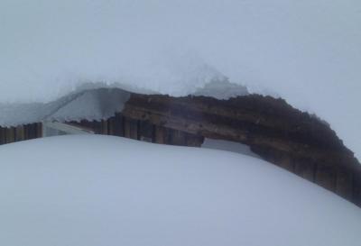 post-13144-0-86261800-1392725282_thumb.j