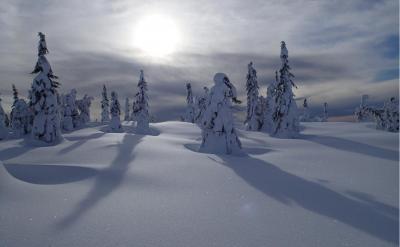 post-13144-0-94348900-1392725548_thumb.j