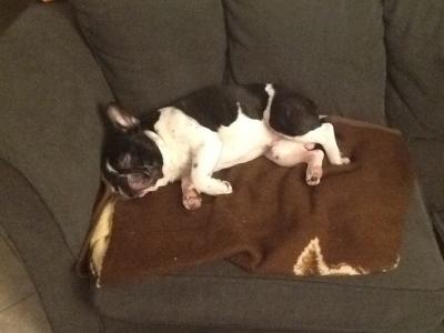 post-14147-0-91496000-1391615941_thumb.j