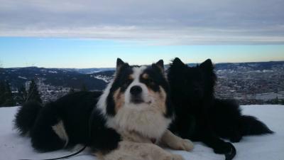 post-14271-0-22863300-1393234720_thumb.j