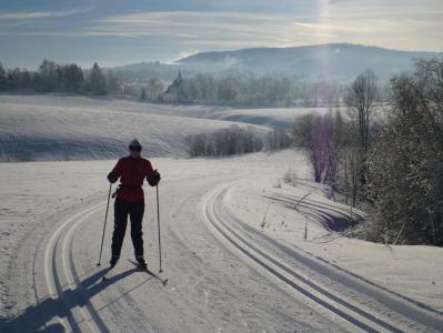 post-1735-0-34179300-1391874474_thumb.jp