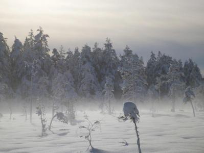 post-1735-0-76871700-1391874490_thumb.jp