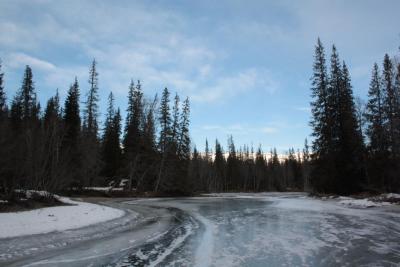 post-3730-0-00416300-1391499661_thumb.jp