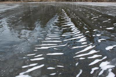 post-3730-0-17021400-1391499627_thumb.jp