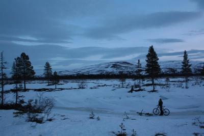 post-3730-0-35035800-1391499719_thumb.jp