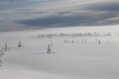 post-4016-0-13684900-1392872460_thumb.jp