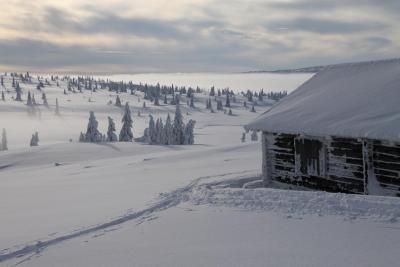 post-4016-0-23213800-1391938616_thumb.jp