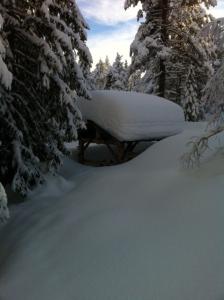 post-4104-0-65417700-1391890327_thumb.jp