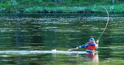 post-4220-0-76982600-1393598740_thumb.jp