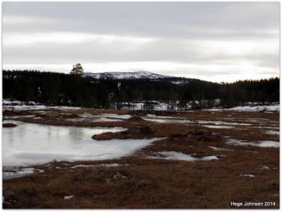 post-4444-0-52126900-1393169427_thumb.jp