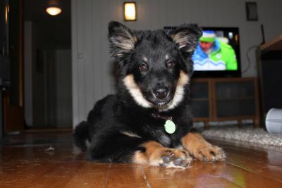 post-8184-0-66368600-1392023861_thumb.jp