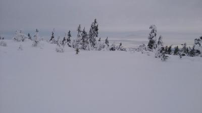 post-8488-0-42811000-1392902526_thumb.jp