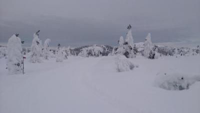 post-8488-0-69889600-1392902557_thumb.jp