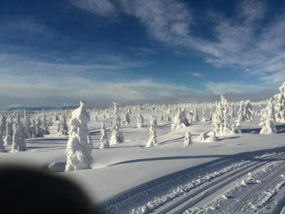 post-9055-0-54031400-1391889693_thumb.jp