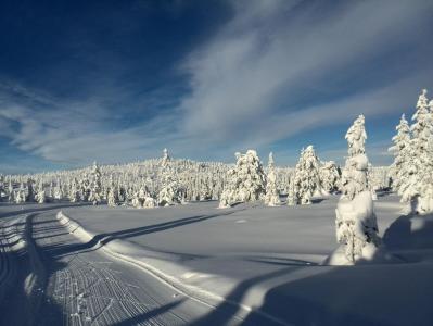 post-9055-0-54072000-1391889687_thumb.jp