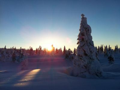 post-9060-0-22994100-1393334313_thumb.jp