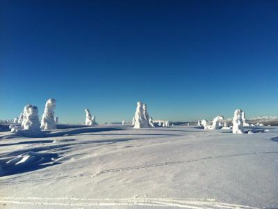 post-9060-0-76234700-1393334352_thumb.jp