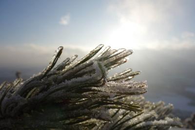 post-10468-0-16694300-1424192952_thumb.j