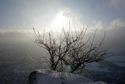 post-10468-0-83003200-1424192931_thumb.j