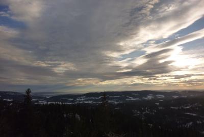 post-12580-0-11670000-1423432262_thumb.j