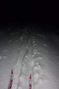 post-12580-0-86136300-1424819912_thumb.j