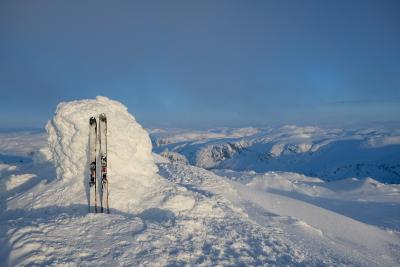 post-13206-0-73768200-1423953030_thumb.j