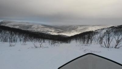 post-14074-0-21443600-1424639956_thumb.j