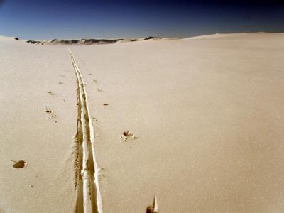 post-14248-0-71179200-1423425381_thumb.j