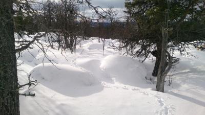 post-14478-0-15353400-1424614540_thumb.j