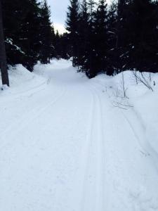 post-14924-0-36892300-1423771205_thumb.j