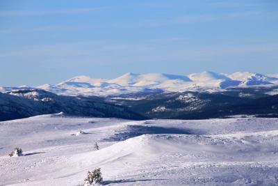 post-4016-0-10516400-1423935951_thumb.jp