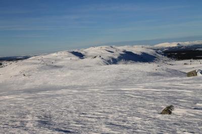 post-4016-0-32844000-1423935954_thumb.jp