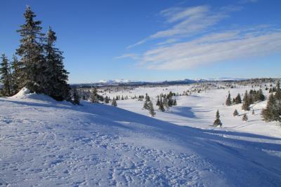 post-4016-0-37469400-1423935943_thumb.jp