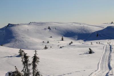 post-4016-0-88762100-1423935947_thumb.jp