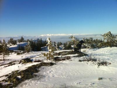 post-4104-0-13369700-1424034870_thumb.jp