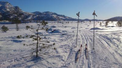 post-4220-0-46868500-1423069335_thumb.jp