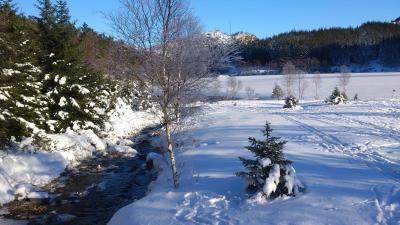 post-4220-0-53355100-1423069628_thumb.jp