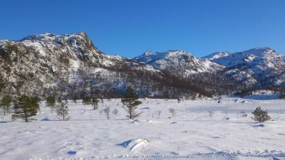 post-4220-0-72724100-1423069344_thumb.jp