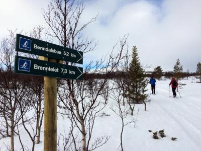 post-4444-0-22646300-1424630863_thumb.jp