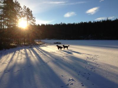 post-5120-0-71277500-1424512872_thumb.jp