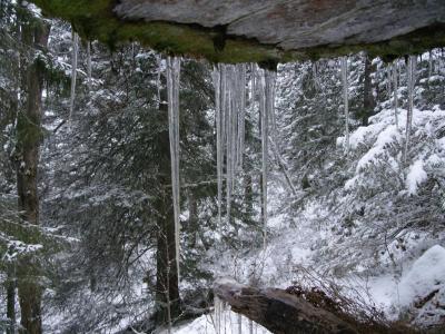 post-6789-0-64086400-1423921562_thumb.jp