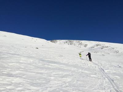 post-9060-0-53716100-1422775416_thumb.jp