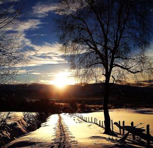 post-9562-0-96049000-1423427793_thumb.jp